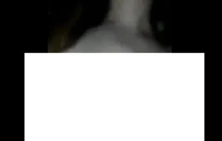 C*ckold Memelerden Süt Geliyor