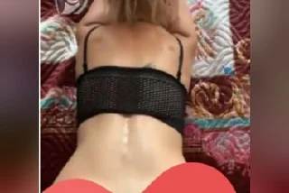 Sarışın Fıstığa Döşeme İşlemi