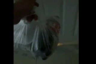 Yemek Siparişi Geldi Diyerek Lavaboya Giriyor